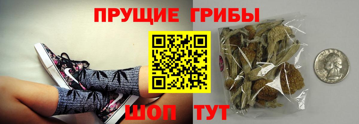 купить наркотик  Галлюциногенные грибы прущие грибы  Севастополь  Вход с VPN  Галлюциногенные грибы прущие грибы 